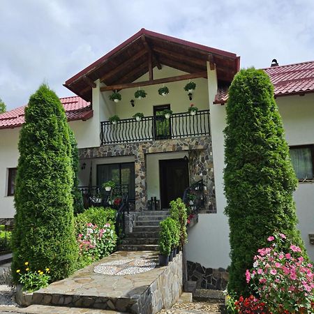 Borşa Casa Albaヴィラ エクステリア 写真