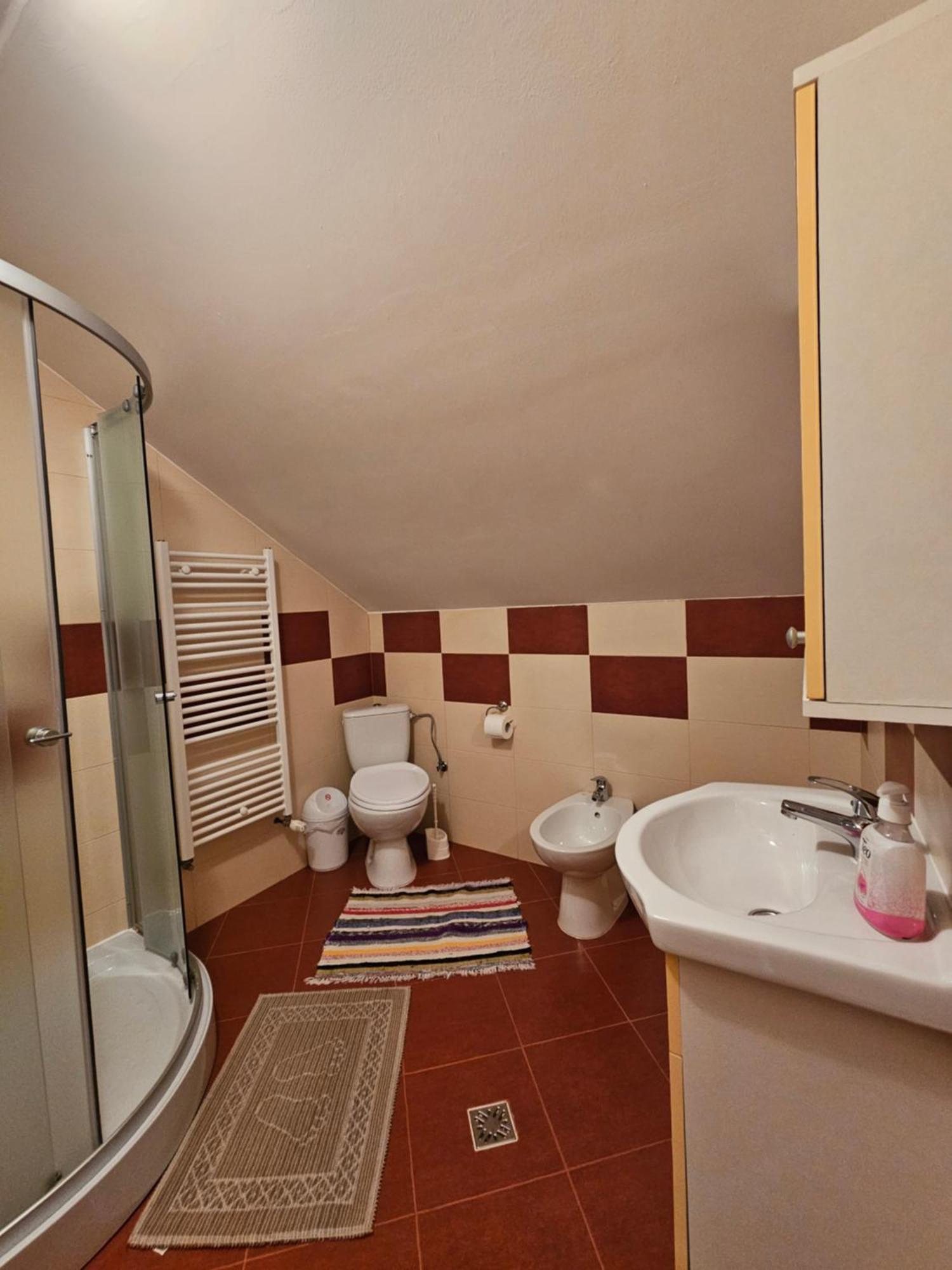 Borşa Casa Albaヴィラ エクステリア 写真