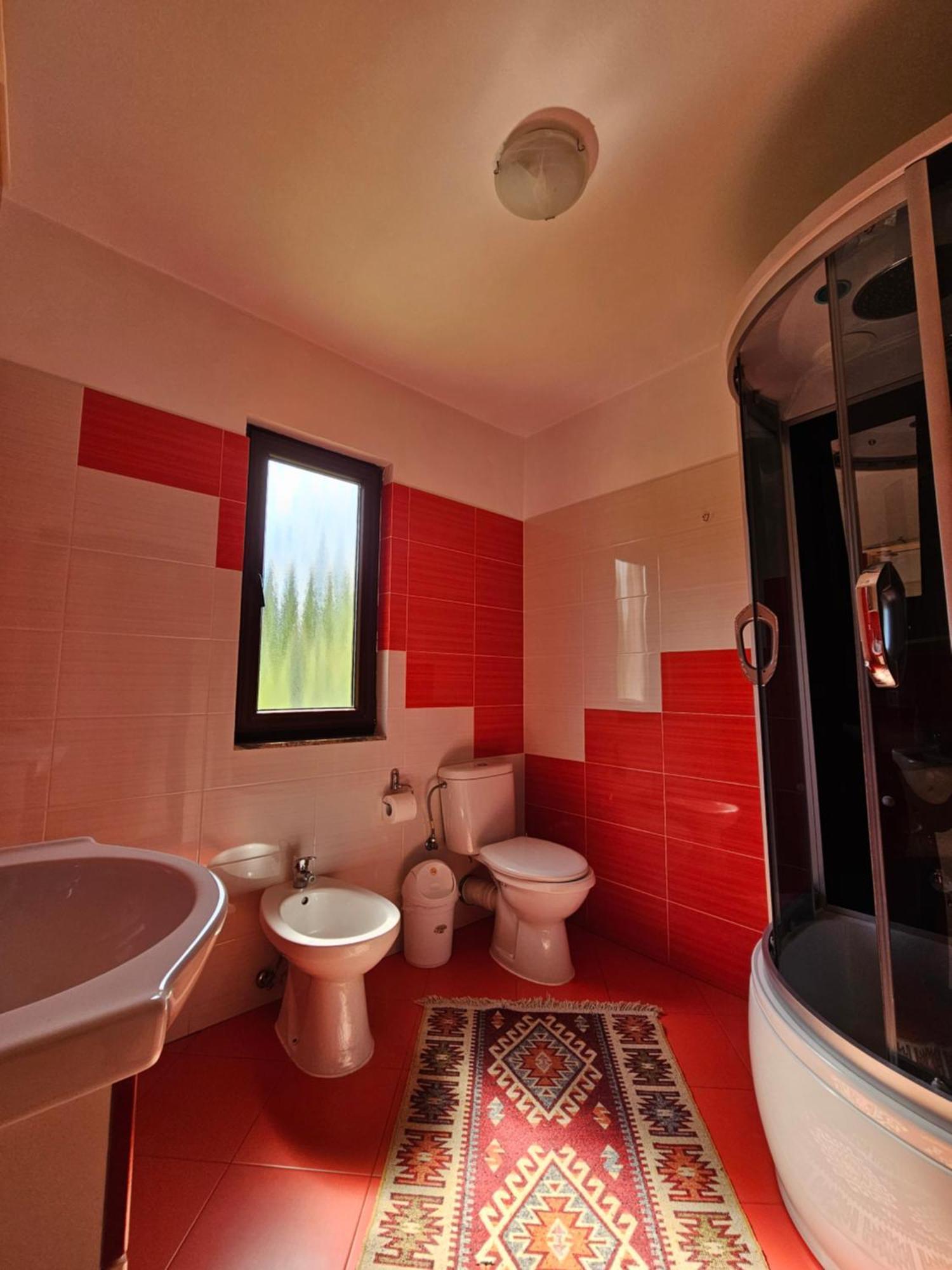 Borşa Casa Albaヴィラ エクステリア 写真