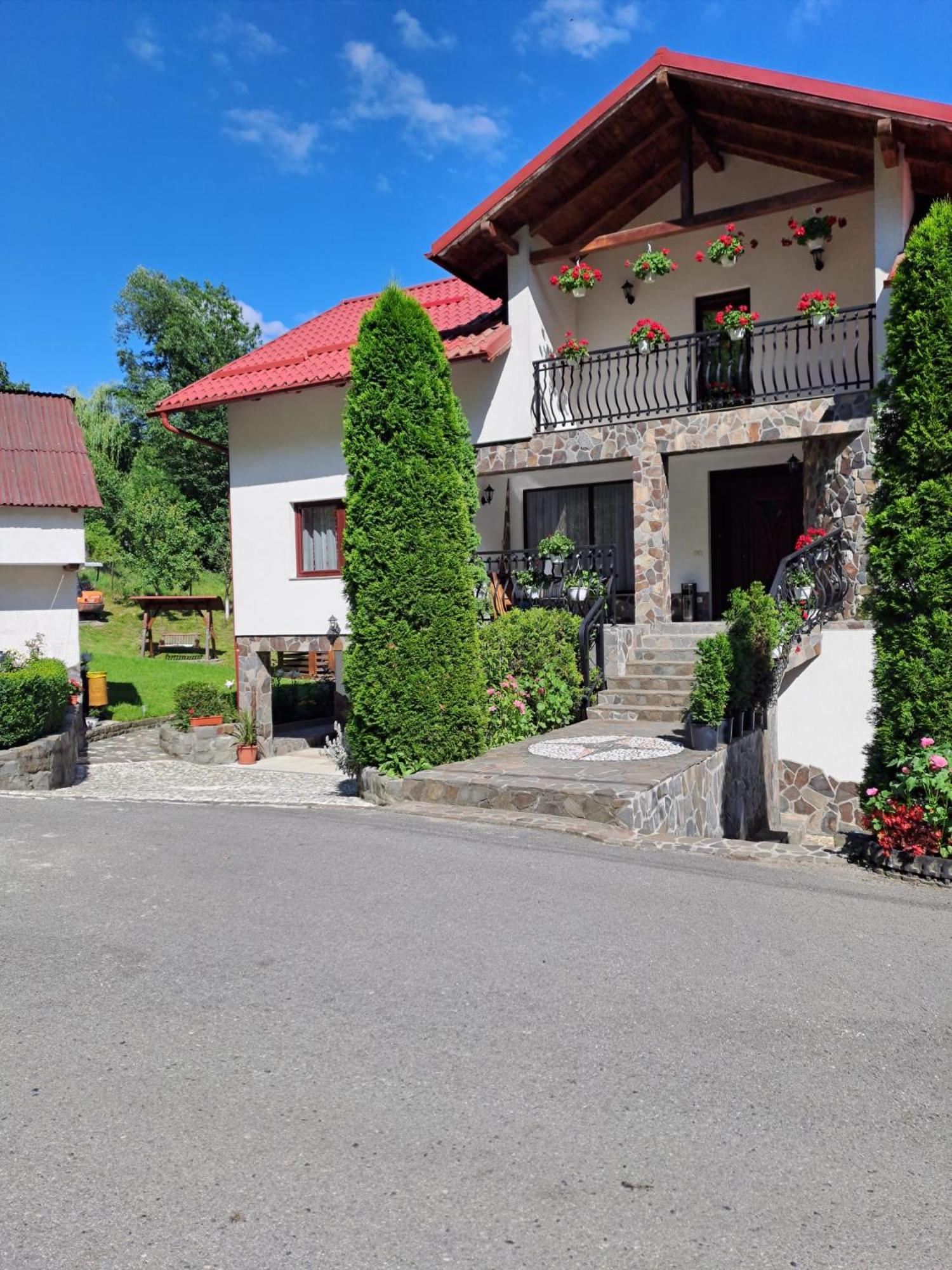 Borşa Casa Albaヴィラ エクステリア 写真
