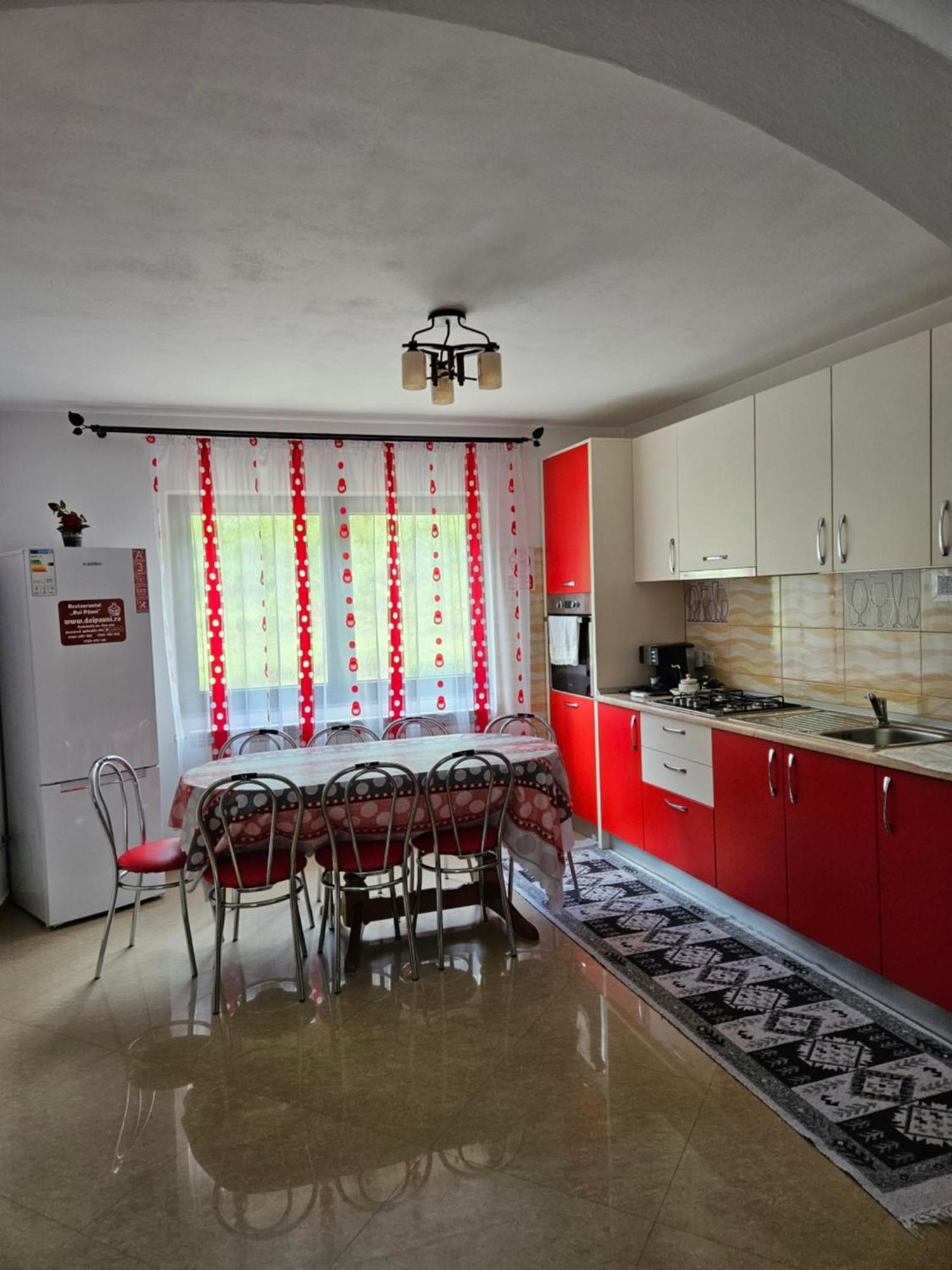 Borşa Casa Albaヴィラ エクステリア 写真