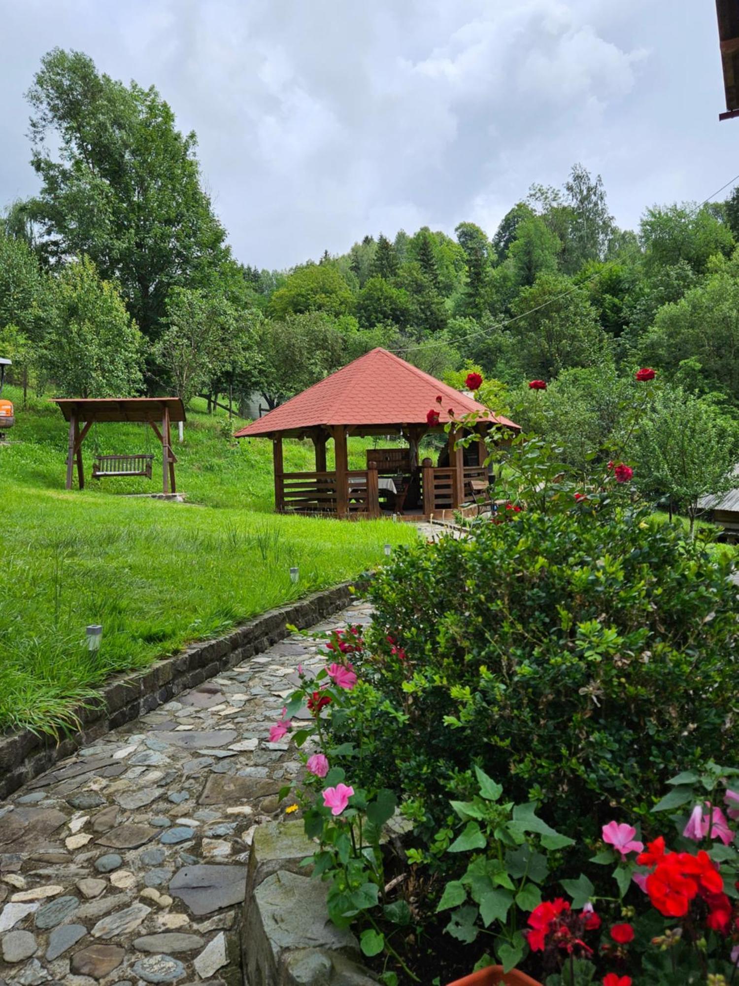 Borşa Casa Albaヴィラ エクステリア 写真