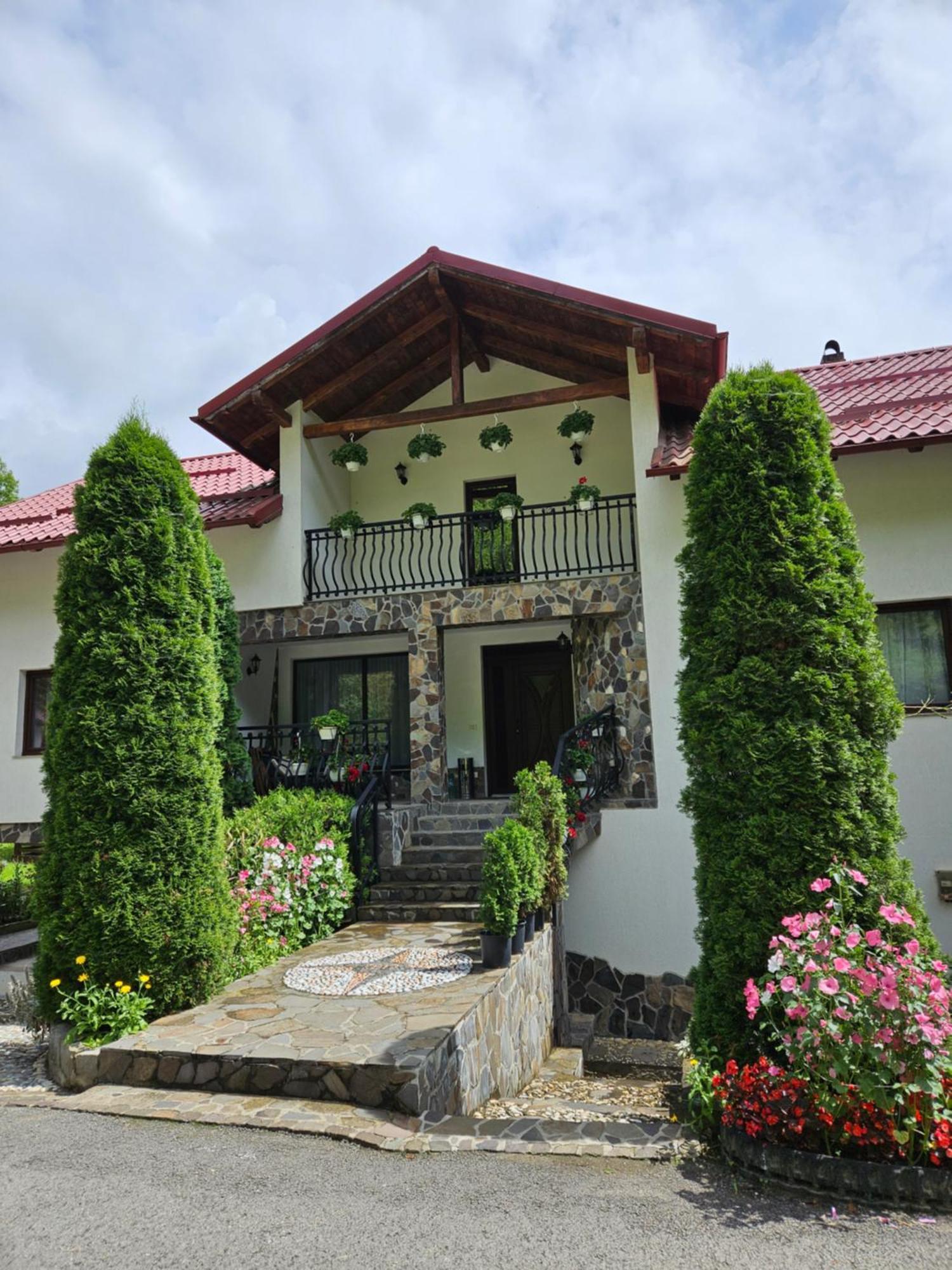 Borşa Casa Albaヴィラ エクステリア 写真